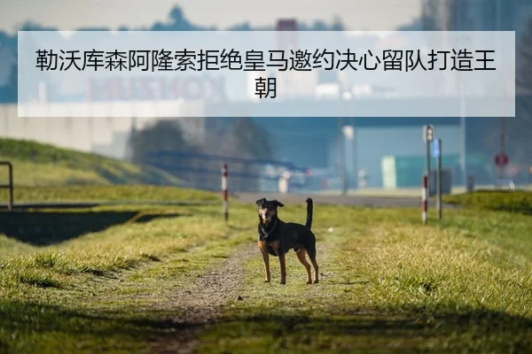 勒沃库森阿隆索拒绝皇马邀约决心留队打造王朝