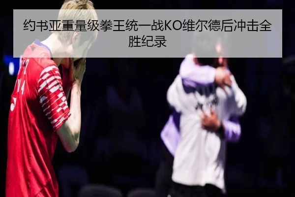 约书亚重量级拳王统一战KO维尔德后冲击全胜纪录