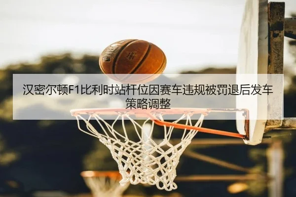 han-mi-er-dun-bi-li-shi-zhan-gan-wei-yin-sai-che-wei-gui-bei-fa-tui-hou-fa-che-ce-lve-tiao-zheng-3-106.jpg