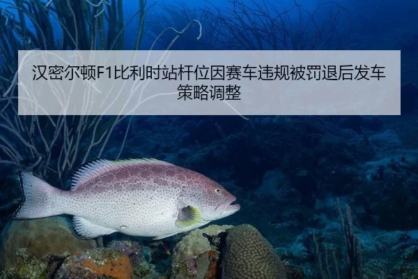 汉密尔顿F1比利时站杆位因赛车违规被罚退后发车策略调整