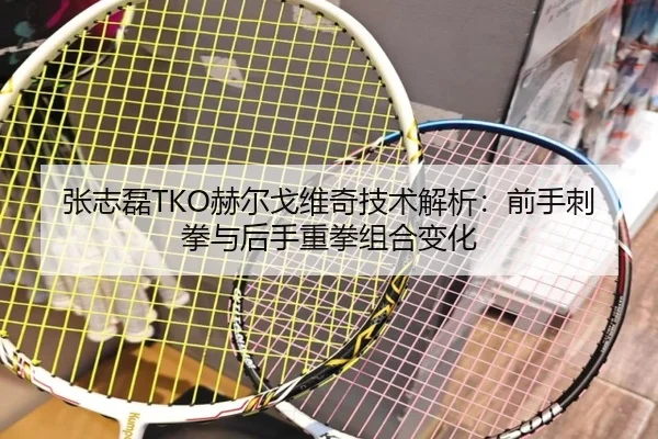张志磊TKO赫尔戈维奇技术解析：前手刺拳与后手重拳组合变化